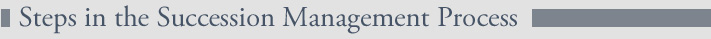 Steps in the Succession Management Process